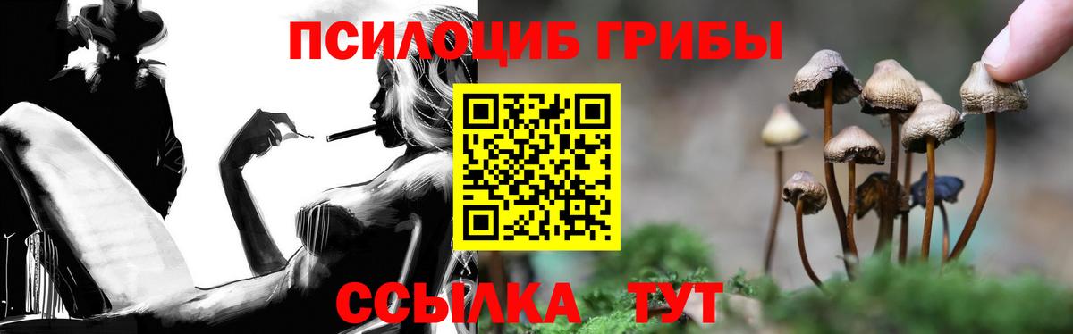 Мирный  Галлюциногенные грибы Cubensis  Вход с VPN 